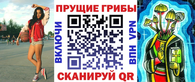 Купить где  Весьегонск  Галлюциногенные грибы Psilocybine cubensis 