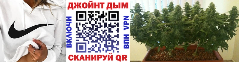 Купить закладки  Весьегонск  Каннабис MAZAR 